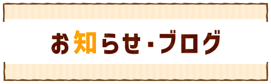 お知らせ・ブログ